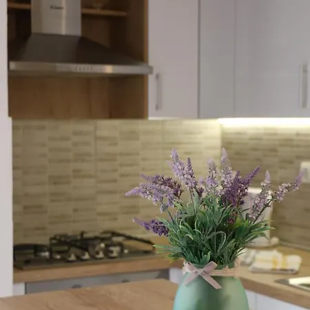 Leo Katic 아파트 Lastovo