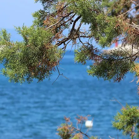 아파트 Leo Katic *