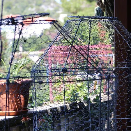 Appartamento Leo Katic