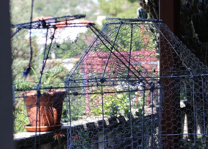 Apartamento Leo Katic