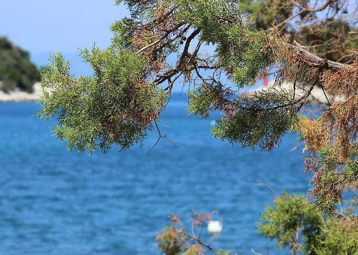 Apartamento Leo Katic *